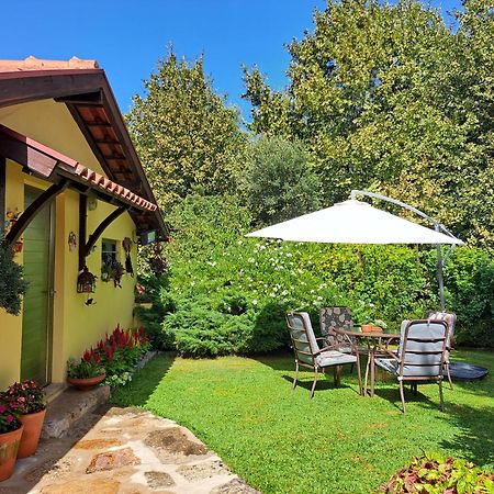 Quinta De Carcavelos Agroturismo E Enoturismo Селорику ди Бащу Екстериор снимка