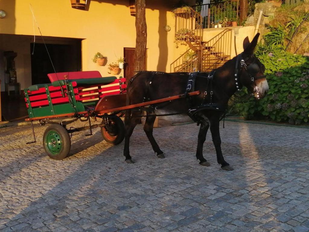Quinta De Carcavelos Agroturismo E Enoturismo Селорику ди Бащу Екстериор снимка