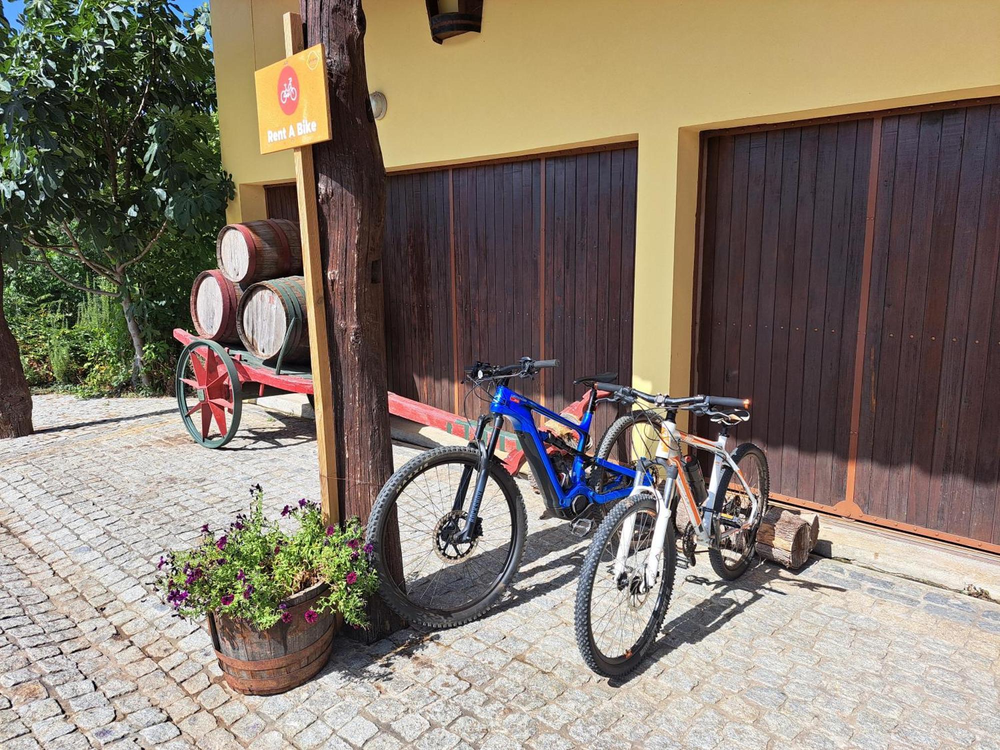 Quinta De Carcavelos Agroturismo E Enoturismo Селорику ди Бащу Екстериор снимка